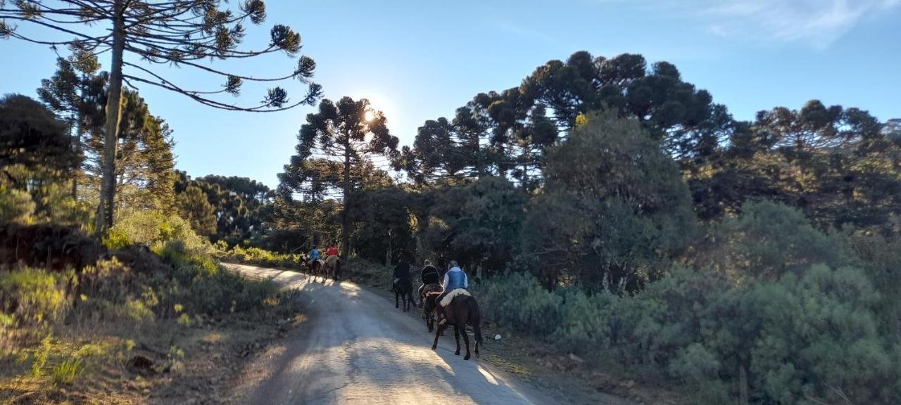 Cabanas Fazenda Rancho Alegre Urubici Mundo Novo  エクステリア 写真