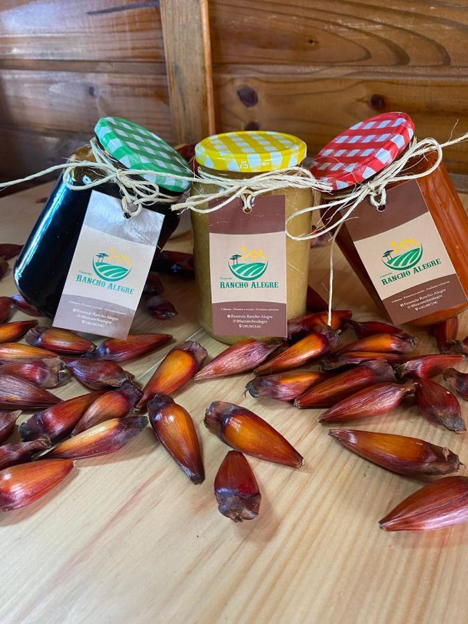 Cabanas Fazenda Rancho Alegre Urubici Mundo Novo  エクステリア 写真